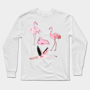Flamingoes Forever Long Sleeve T-Shirt